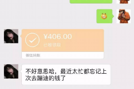 天才宝贝讨债爹地:一场温馨的债务奇遇记 天才宝贝讨债爹地:一场温馨的债务奇遇记