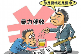 银行贷款催收简报范文：实战经验分享与案例分析