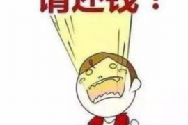 讨债人找法人父母违法吗?法律视角下的讨债行为解析 讨债人找法人父母违法吗?法律视角下的讨债行为解析