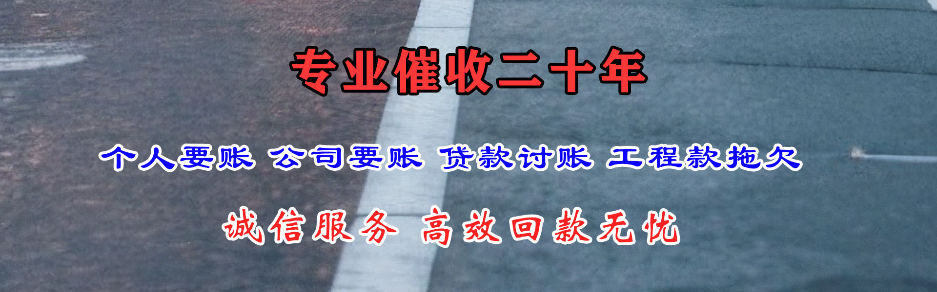 靖江追数公司