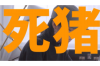 福田讨债律师哪里找？——全方位解答您的讨债难题