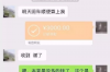 **花呗催收该怎么返催收：策略与方法探讨**