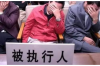 追讨债务，法律护航：律师咨询的实用指南