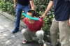 航海王世界任务七：水之城讨债风波