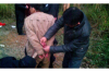 **欠钱催收一般怎么催收的**