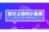 捷信委托的催收公司：专业、合规与效率的平衡点